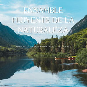 Nanas Somnolientas Del Río