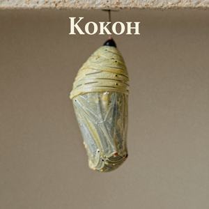 Мечты в ладони (Remix)