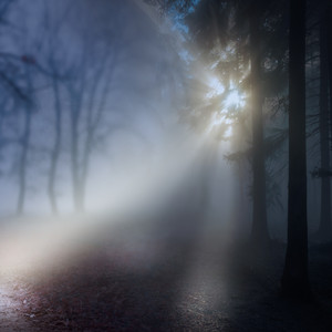 Song of the Lonely Fields