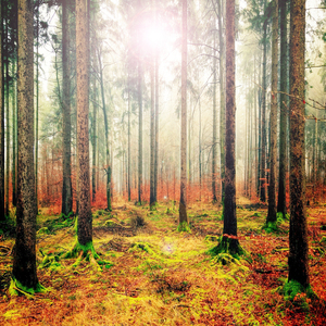 고요한 명상음악