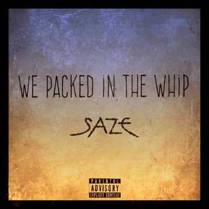 We Packed in the Whip