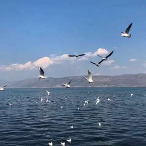 旧情人，我是时间的新欢