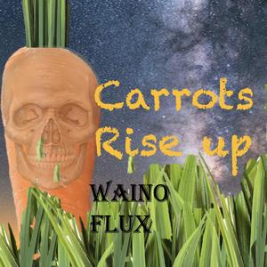 Carrots Rise Up