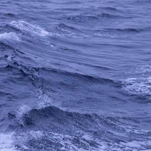 白月光与朱砂痣披萨心肠（翻自 白月光）