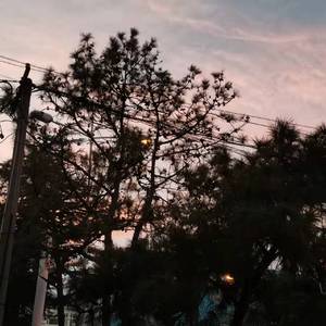 星期三或礼拜三