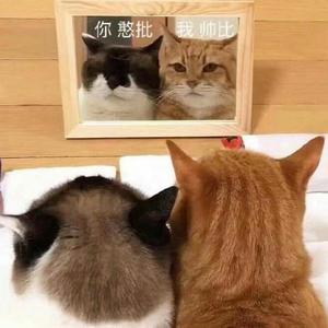 Broken Arrows（纯音乐）