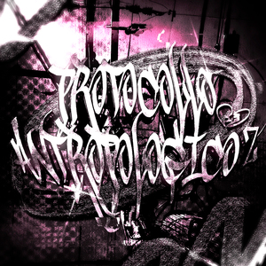 Protocollo Antropologico 2