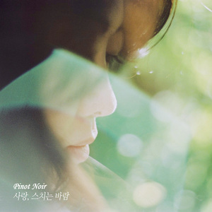 사랑, 스치는 바람 (Inst.)