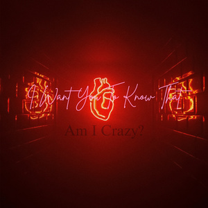 I Want You To Know That (Am I Crazy)