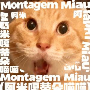 阿米嘎蒂朵Montagem Miau（phonk ver）