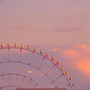 致我可爱的胆小鬼们（翻自 苏二零）