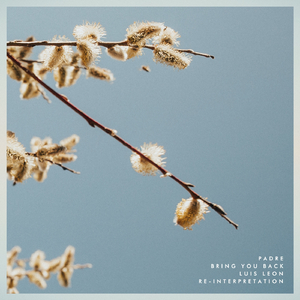 Bring You Back (Luis Leon Re-Interpretation)