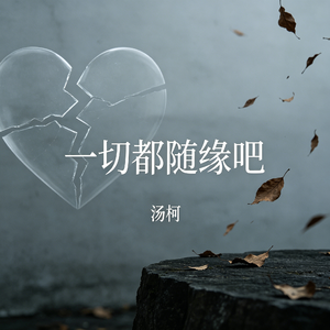 一切都随缘吧