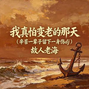 我真怕变老的那天(辛苦一辈子留下一身伤dj）