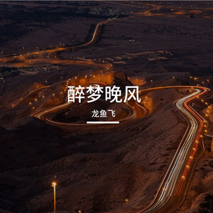 醉梦晚风