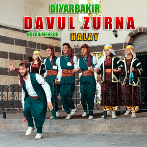 Halay (Diyarbakır Davul Zurna)