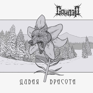 Кроличья нора
