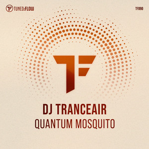 Quantum Mosquito (Radio Mix)