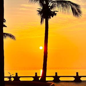 思绪中的悲伤（舒缓钢琴曲）