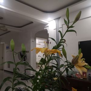 我们不停地追逐