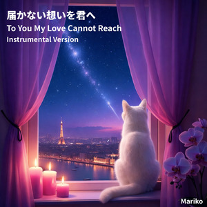 届かない想いを君へ