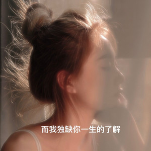 而我独缺你一生的了解