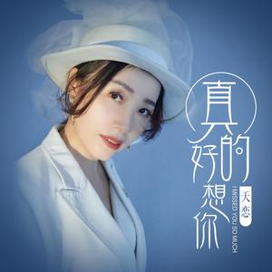 真的好想你 伴奏