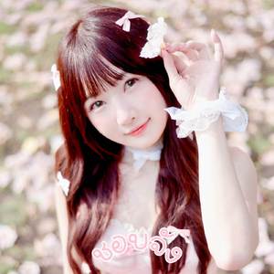 ชอบจัง