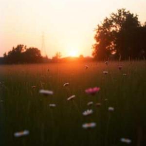 Dzień dobry świecie...