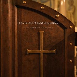 Era Odată O Tainică Grădină (Instrumental)