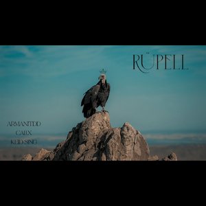Rüpell (feat. Keid Sing)