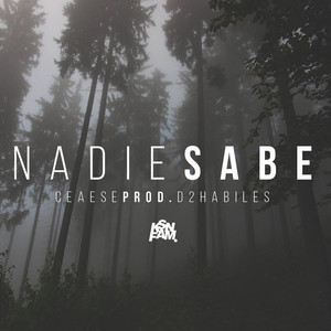 Nadie Sabe