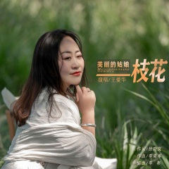 美丽的姑娘一枝花 (DJ默涵版)
