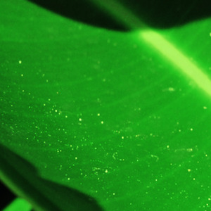 从幼儿园到现在