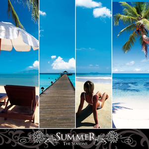 Wait for the Black and White Siddholia