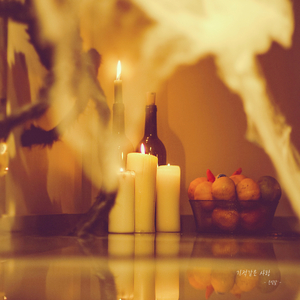 사막에서 피는 꽃