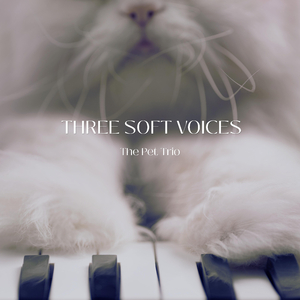 Piano for Three
