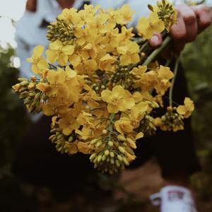 我又梦见你了 cover 晚安的日记