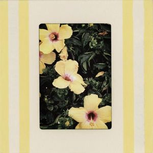 最好的债（Cover）