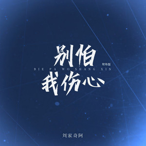 别怕我伤心(DJ版)