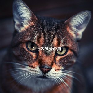 Terrific Ambiance for Coffee in Tokyo