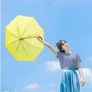 咖喱咖喱（Cover 牛奶咖啡）