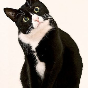 Mount Everest (slowed)