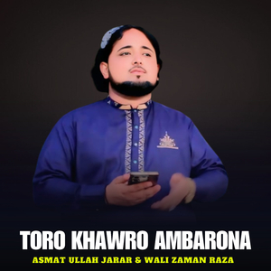 Toro Khawro Ambarona
