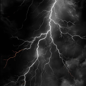 自由之境的快乐回响