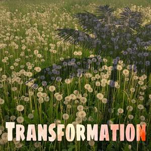 Transformation (Piano Cover)