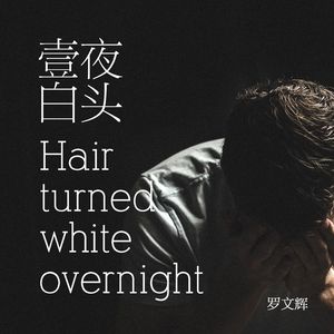 一夜白头Hair turned white overnight 伴奏