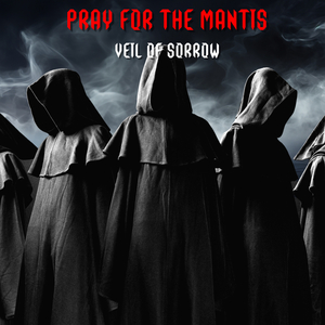 Veil of Sorrow