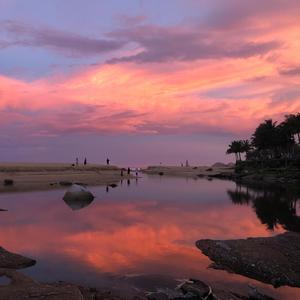 粉红泡泡女孩 (Cover)