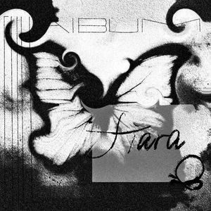 幸存者的第一颗星星